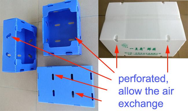boîtes en plastique perforées pour permettre l'échange d'air