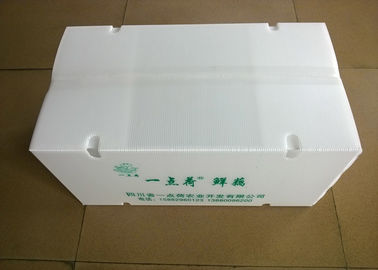 Boîtes en plastique pliantes avec les trous à chaleur tournante pour transporter des légumes