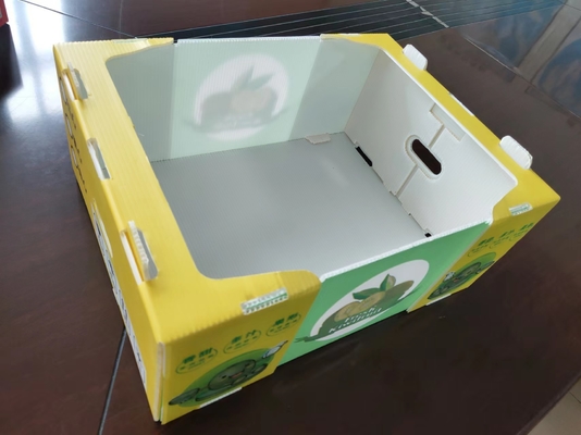 Boîte à fruits en plastique réutilisable avec capacité personnalisée et ventilation avec impression couleur