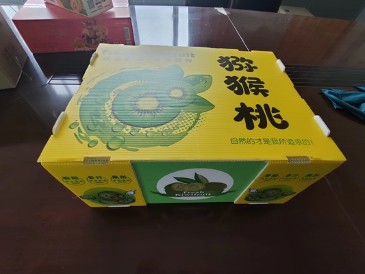 Boîte à fruits en plastique réutilisable avec capacité personnalisée et ventilation avec impression couleur