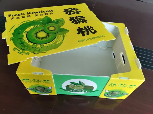 Boîte à fruits en plastique réutilisable avec capacité personnalisée et ventilation avec impression couleur